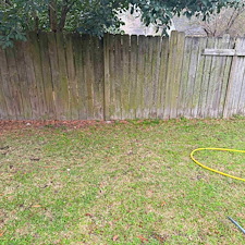 Astonishing-Fence-Cleaning-Performed-in-Rincon-GA 3