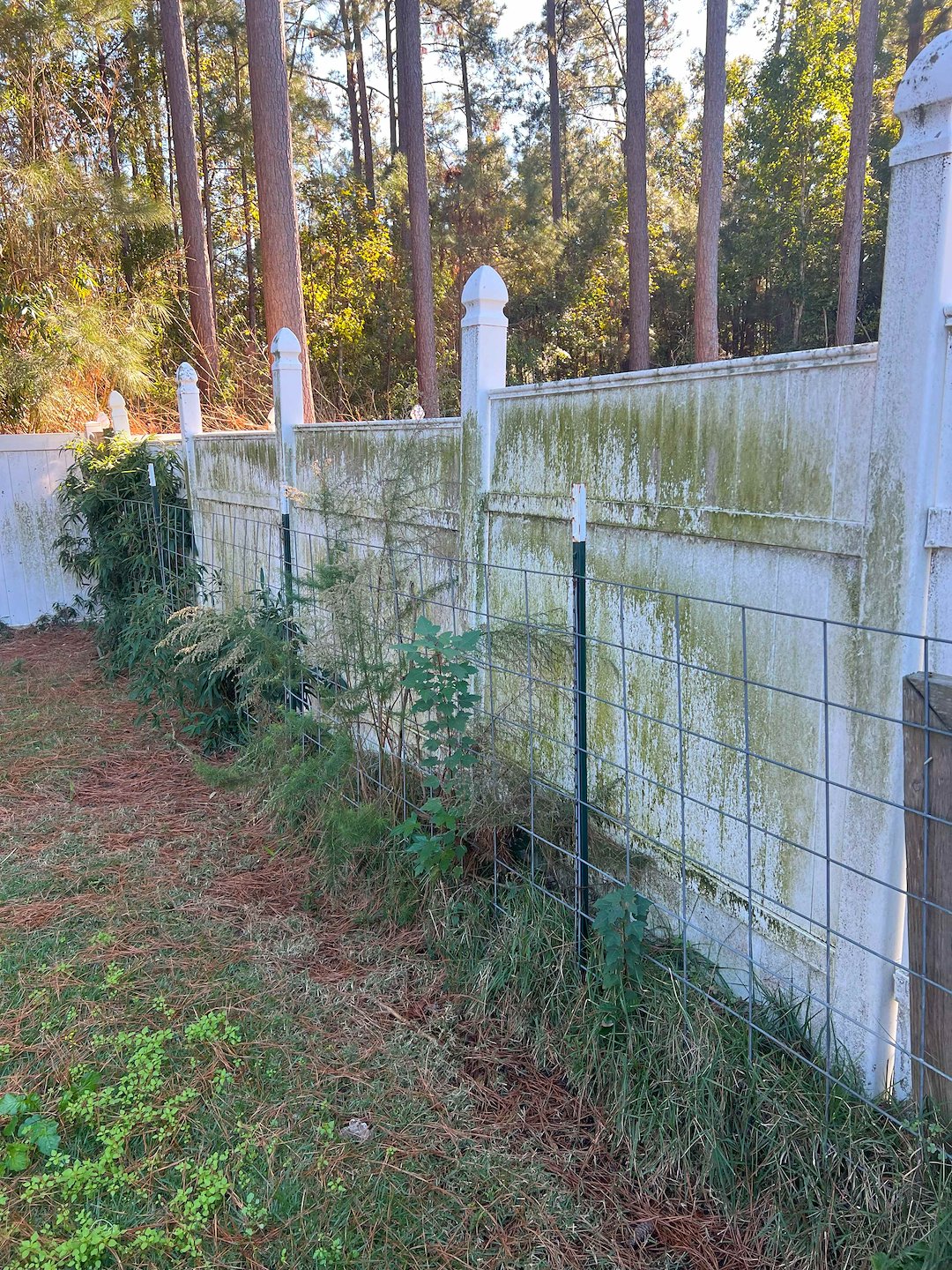 Top Quality Fence Cleaning Services Performed in Pooler, GA